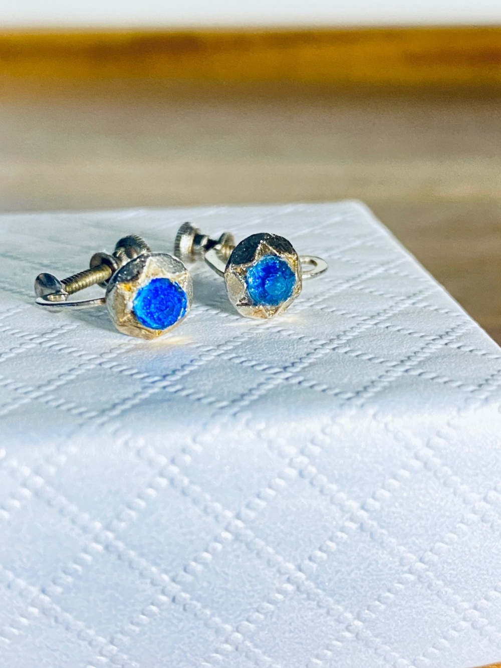TLC Vintage Blue Paste Glass Screw Back Earrings